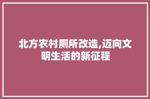 北方农村厕所改造,迈向文明生活的新征程 地面装修