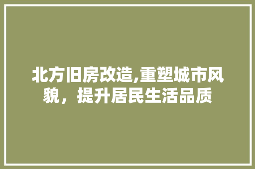 北方旧房改造,重塑城市风貌，提升居民生活品质