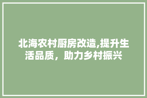北海农村厨房改造,提升生活品质，助力乡村振兴