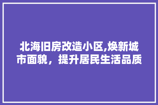 北海旧房改造小区,焕新城市面貌，提升居民生活品质