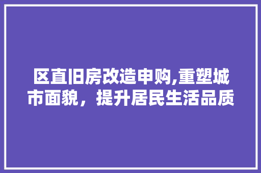 区直旧房改造申购,重塑城市面貌，提升居民生活品质