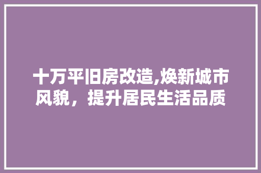 十万平旧房改造,焕新城市风貌，提升居民生活品质 建筑设计