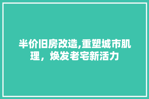 半价旧房改造,重塑城市肌理，焕发老宅新活力 隔断设计