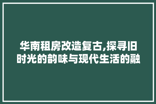 华南租房改造复古,探寻旧时光的韵味与现代生活的融合