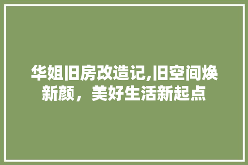 华姐旧房改造记,旧空间焕新颜，美好生活新起点