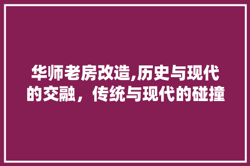 华师老房改造,历史与现代的交融，传统与现代的碰撞