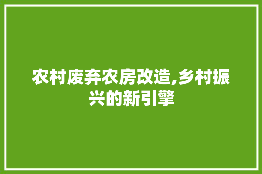 农村废弃农房改造,乡村振兴的新引擎 隔断设计