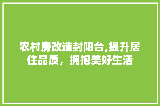 农村房改造封阳台,提升居住品质，拥抱美好生活