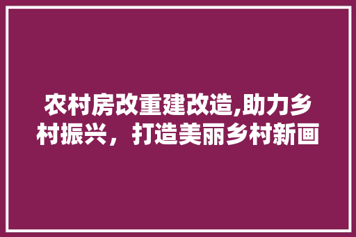 农村房改重建改造,助力乡村振兴，打造美丽乡村新画卷 装修攻略