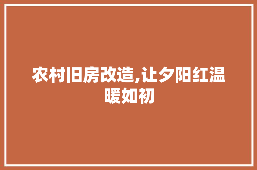 农村旧房改造,让夕阳红温暖如初 装修材料