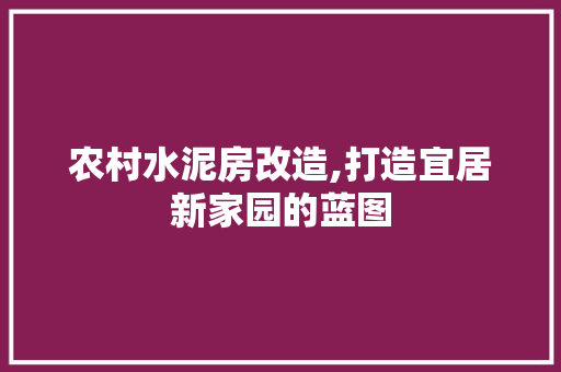农村水泥房改造,打造宜居新家园的蓝图 隔断设计