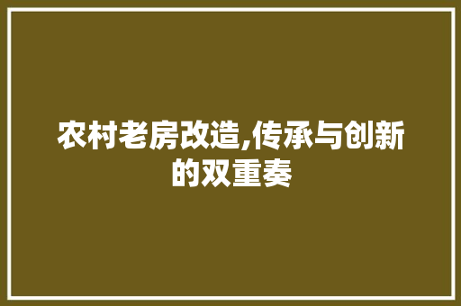 农村老房改造,传承与创新的双重奏 装修材料
