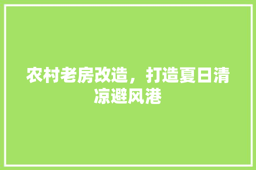 农村老房改造，打造夏日清凉避风港