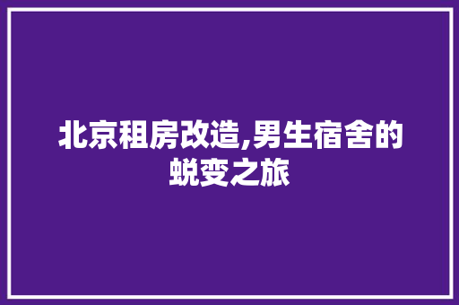 北京租房改造,男生宿舍的蜕变之旅 隔断设计