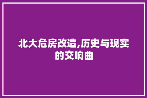 北大危房改造,历史与现实的交响曲