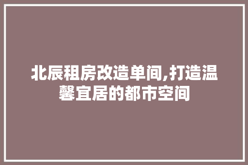 北辰租房改造单间,打造温馨宜居的都市空间 景观设计