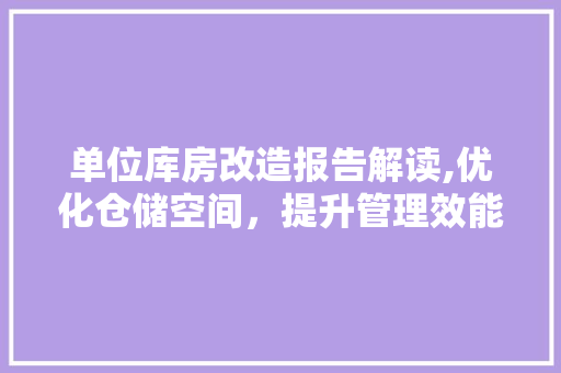 单位库房改造报告解读,优化仓储空间，提升管理效能 庭院装修