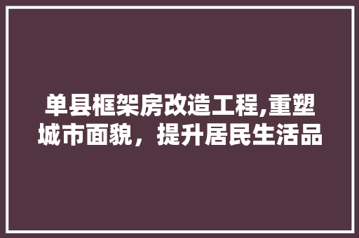 单县框架房改造工程,重塑城市面貌，提升居民生活品质 庭院装修