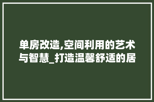 单房改造,空间利用的艺术与智慧_打造温馨舒适的居住空间