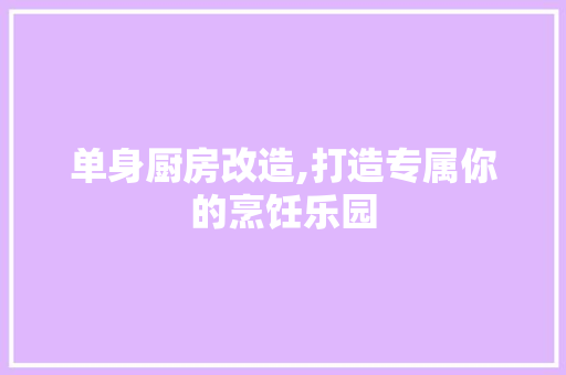 单身厨房改造,打造专属你的烹饪乐园