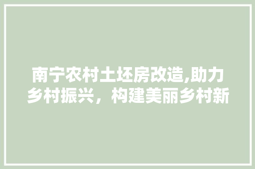 南宁农村土坯房改造,助力乡村振兴，构建美丽乡村新篇章