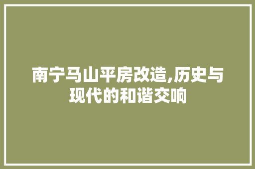 南宁马山平房改造,历史与现代的和谐交响 装修材料
