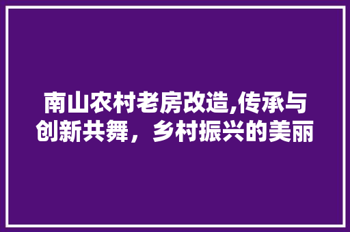 南山农村老房改造,传承与创新共舞，乡村振兴的美丽画卷