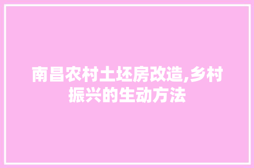 南昌农村土坯房改造,乡村振兴的生动方法 地面装修