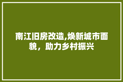 南江旧房改造,焕新城市面貌，助力乡村振兴 地面装修