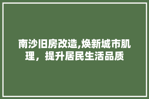 南沙旧房改造,焕新城市肌理，提升居民生活品质 景观设计