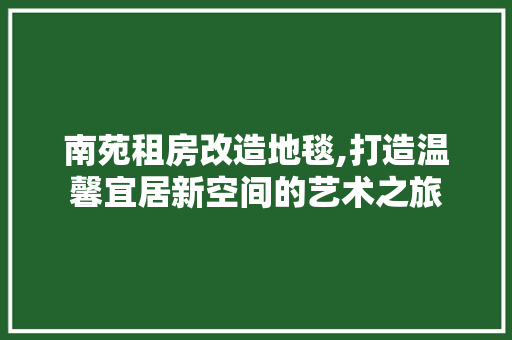 南苑租房改造地毯,打造温馨宜居新空间的艺术之旅 装修材料