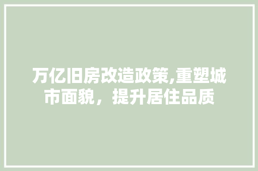 万亿旧房改造政策,重塑城市面貌，提升居住品质