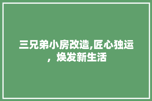 三兄弟小房改造,匠心独运，焕发新生活 墙面装饰