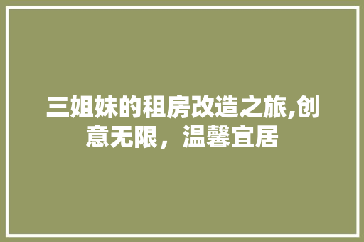 三姐妹的租房改造之旅,创意无限，温馨宜居 装修材料