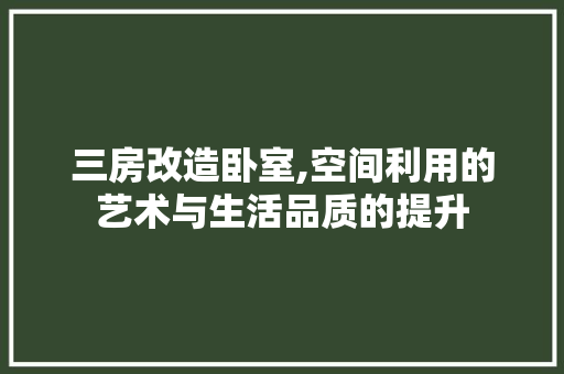 三房改造卧室,空间利用的艺术与生活品质的提升