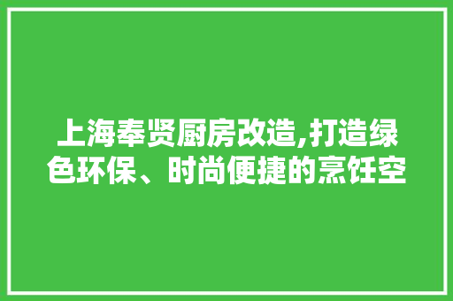 上海奉贤厨房改造,打造绿色环保、时尚便捷的烹饪空间 墙面装饰