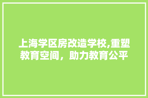 上海学区房改造学校,重塑教育空间，助力教育公平