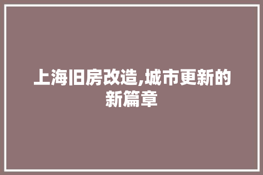 上海旧房改造,城市更新的新篇章
