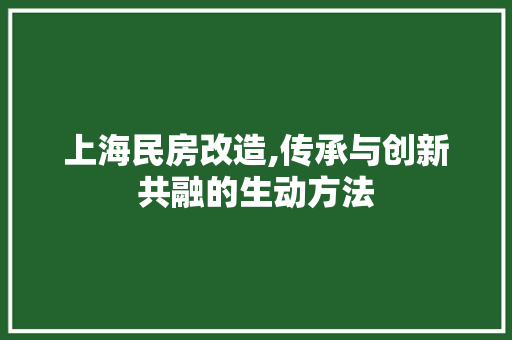 上海民房改造,传承与创新共融的生动方法