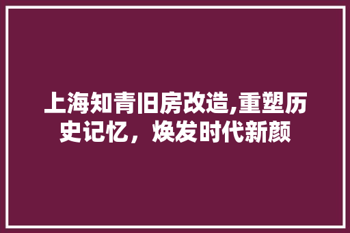 上海知青旧房改造,重塑历史记忆，焕发时代新颜