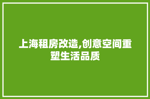 上海租房改造,创意空间重塑生活品质