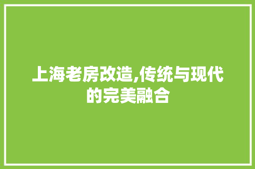 上海老房改造,传统与现代的完美融合