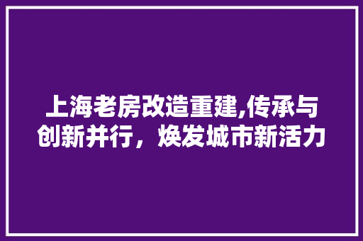上海老房改造重建,传承与创新并行，焕发城市新活力