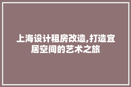 上海设计租房改造,打造宜居空间的艺术之旅