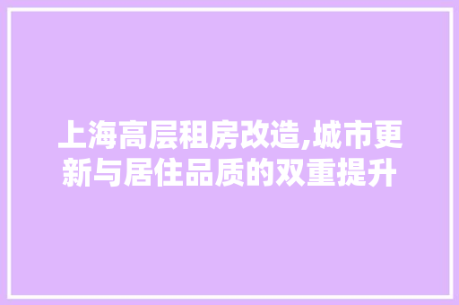 上海高层租房改造,城市更新与居住品质的双重提升 地面装修