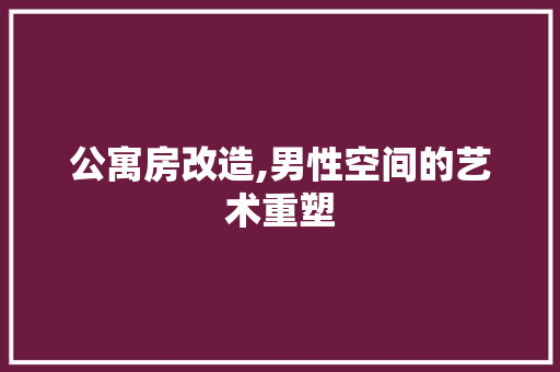 公寓房改造,男性空间的艺术重塑