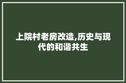 上院村老房改造,历史与现代的和谐共生