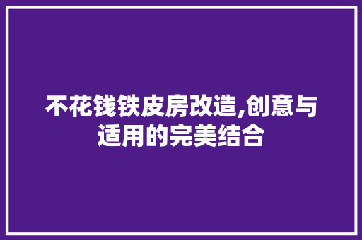 不花钱铁皮房改造,创意与适用的完美结合