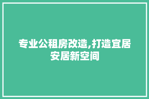 专业公租房改造,打造宜居安居新空间