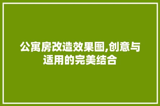公寓房改造效果图,创意与适用的完美结合 地面装修